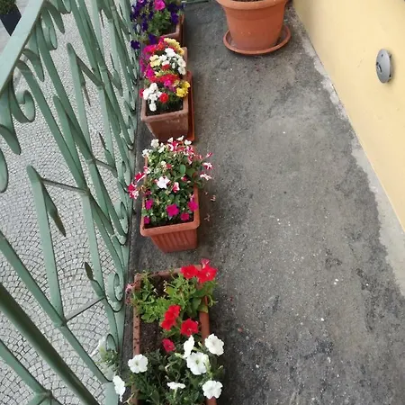 La Barcaiola * Pella